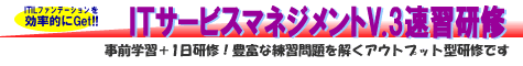 IT�T�[�r�X�}�l�W�����gV3���K���C