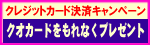 �N���W�b�g�J�[�h���ςł���Ȃ��N�I�J�[�h�v���[���g